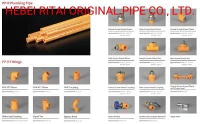 25mm White Russia PPR Pipe and Fittings/Water Pipe
