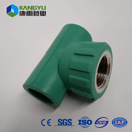 Hot Sale High Quality PPR Pipe Union/Male/Female Threaded Pipe Fittings